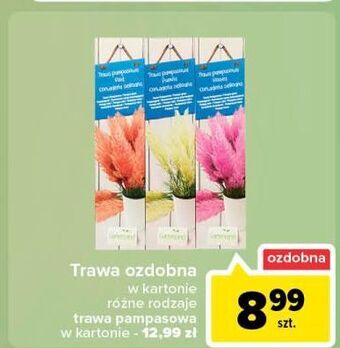 Carrefour Trawa ozdobna oferta