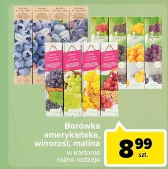 Carrefour Malina czerwona oferta