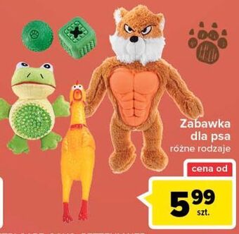 Carrefour Zabawka dla psa oferta