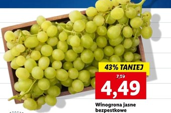 Lidl Winogrona oferta