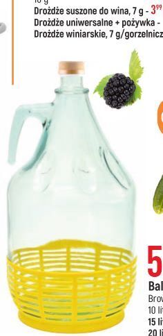 E.Leclerc Gąsior dama w koszyku 5 l browin oferta