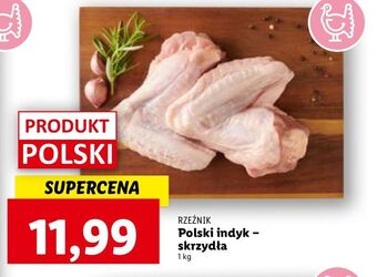Lidl Skrzydła z indyka rzeźnik codzienna dostawa oferta