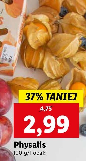 Physalis