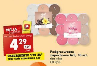 Biedronka Podgrzewacze zapachowe kwitnąca róża aril oferta