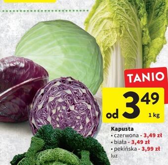 Intermarche Kapusta pekińska oferta
