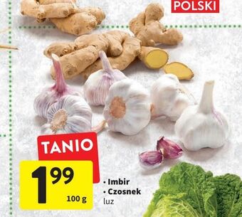 Intermarche Imbir oferta