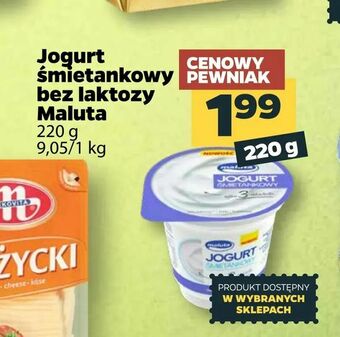 Netto Jogurt śmietankowy bez laktozy Maluta oferta
