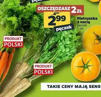 Netto Pietruszka z nacią oferta