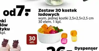 Netto Zestaw 30 kostek lodowych oferta