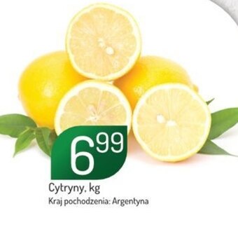 Avita Cytryna oferta