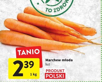 Intermarche Marchew oferta