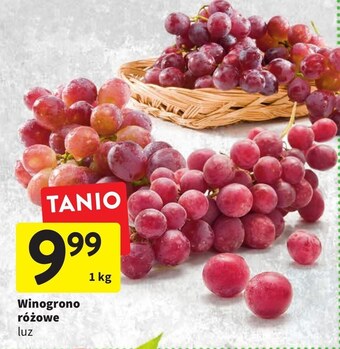 Intermarche Winogrona oferta