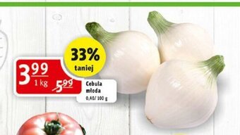 Prim Market Cebula młoda 1kg oferta
