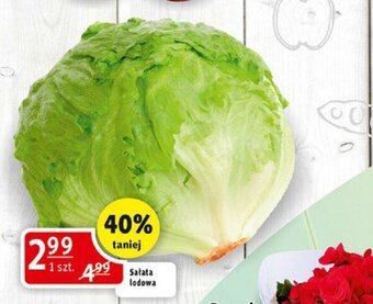 Prim Market Sałata lodowa oferta