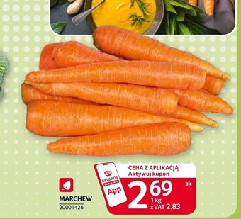 Selgros Marchew 1kg oferta