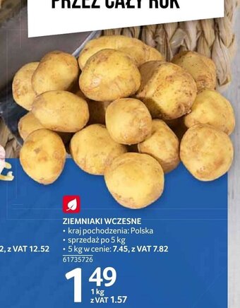 Selgros Ziemniaki wczesne 1kg oferta
