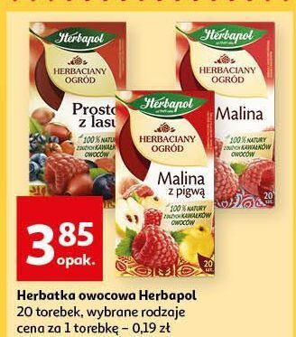 Auchan Herbata malina herbapol herbaciany ogród oferta