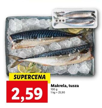 Lidl Makrela - tusza oferta