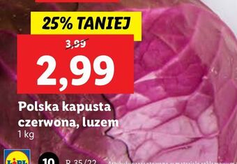 Lidl Kapusta czerwona oferta