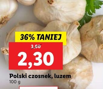 Lidl Czosnek oferta