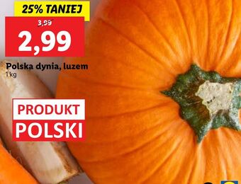 Lidl Dynia oferta