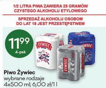 Groszek Żywiec Piwo 4 x 500 ml oferta
