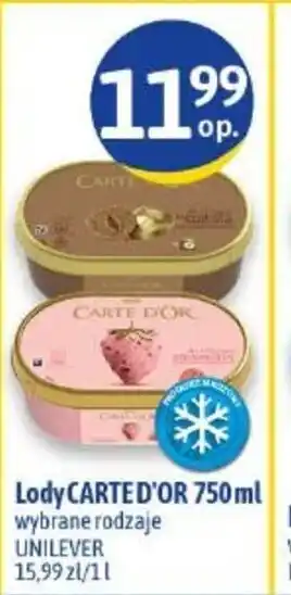 Euro Sklep Carte D'Or Lody 750 ml oferta