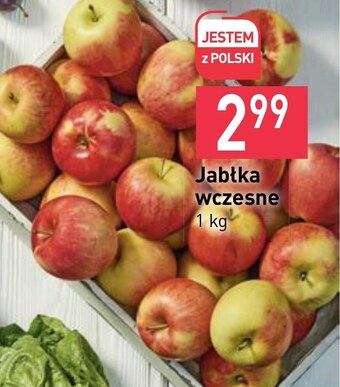 Stokrotka Jabłka oferta