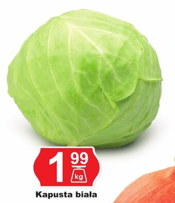 Hitpol Kapusta biała 1 kg oferta