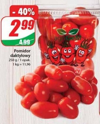 Dino Pomidor daktylowy oferta