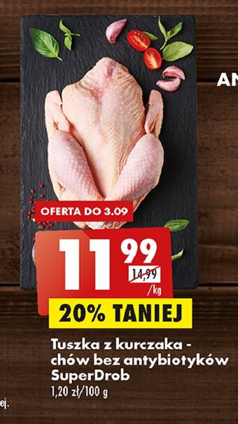 Biedronka Kurczak tuszka oferta