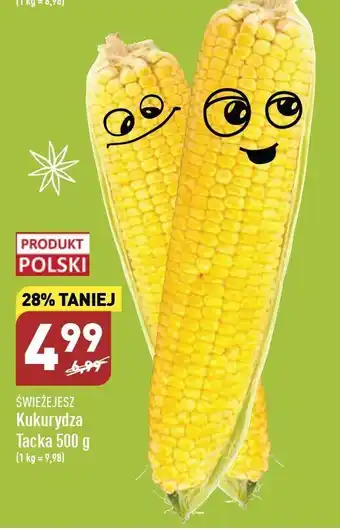 ALDI Kukurydza świeże jesz oferta