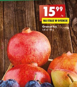 Biedronka Granat oferta