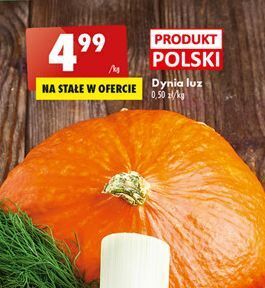 Biedronka Dynia oferta
