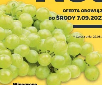 Netto Winogrona oferta