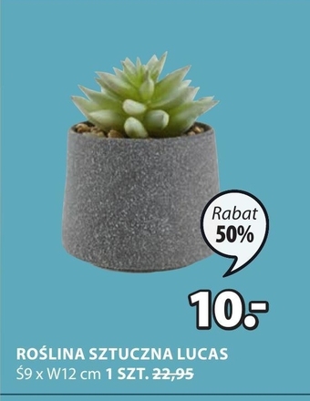 JYSK Sztuczna roślina oferta