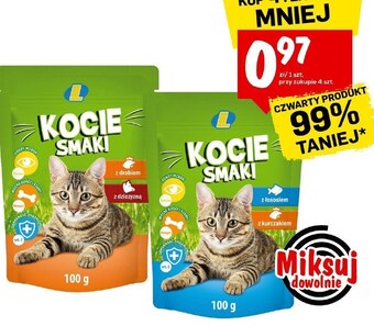 Lewiatan Karma dla kota kocie smaki oferta