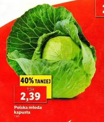 Lidl Polska młoda kapusta 1szt. oferta