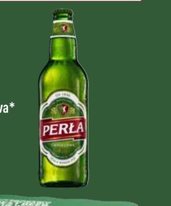 ALDI Piwo perła oferta