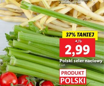 Lidl Seler naciowy oferta