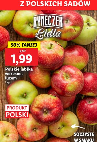 Lidl Jabłka oferta