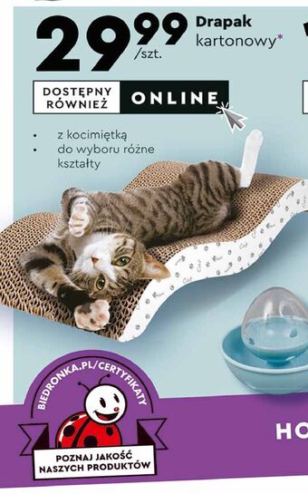Biedronka Drapak kartonowy kitty oferta