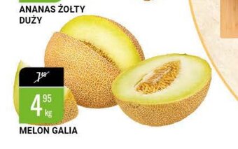 bi1 Melon Galia 1kg oferta