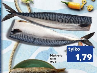 Kaufland Makrela 100 g oferta