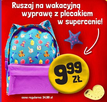Netto Plecak oferta