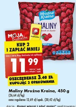 Biedronka Maliny mrożone mroźna kraina oferta