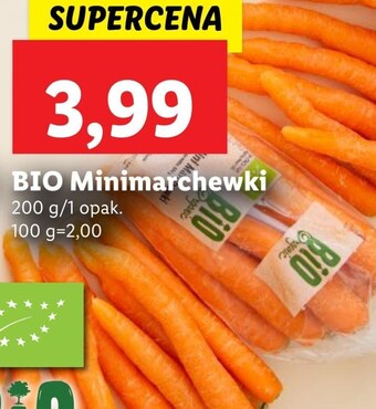 Marchewka