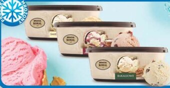 Arhelan Lody koral oferta