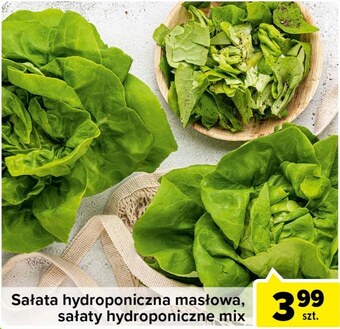 Carrefour Express Sałata oferta
