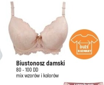 E.Leclerc Biustonosz oferta